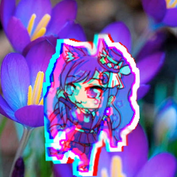 Meet your Posher, Micah - Picture 1 of 1